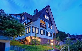 Familienglueck Im Schwarzwaldhaus Mit Schlossblick